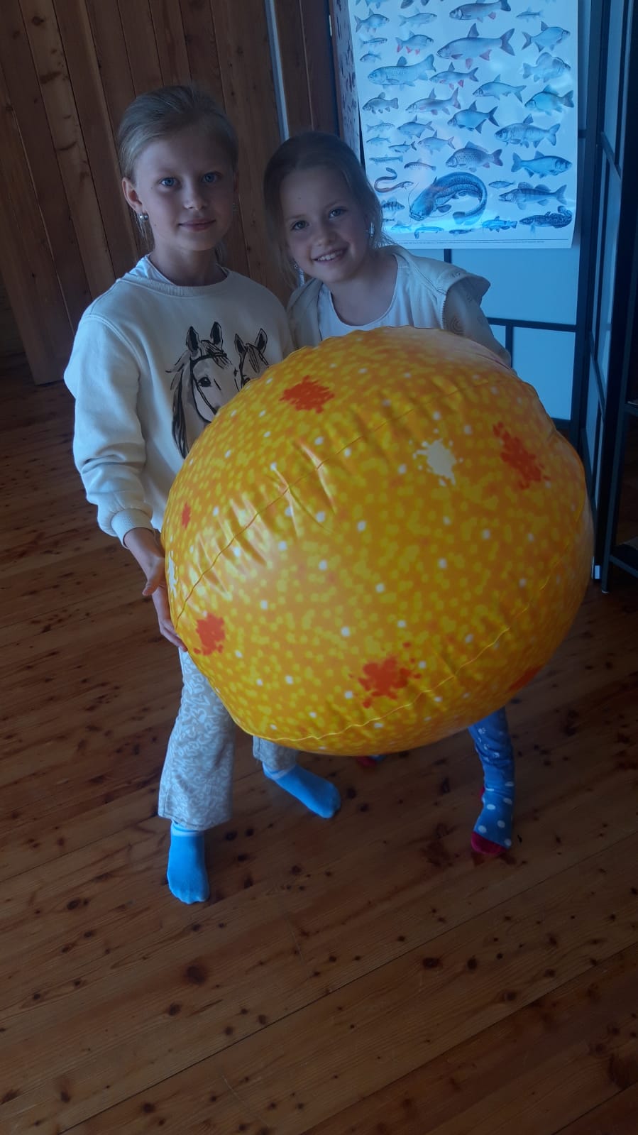 IMG 20250513 WA0028